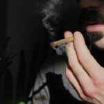 Семена конопли где купить и как выбрать качественные семена img-2291.jpg