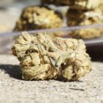 Кракен даркнет площадка и onion ссылка на сайт img-2677.jpg