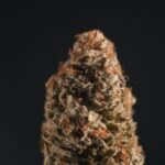 Морфин гидрохлорид и его применение в медицине img-746.jpg