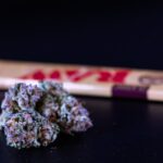 Удобрения для выращивания конопли img-816.jpg